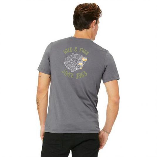Pride Tee Gray